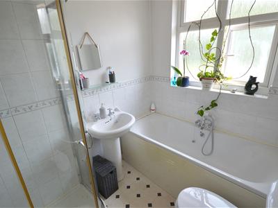 Picture 17